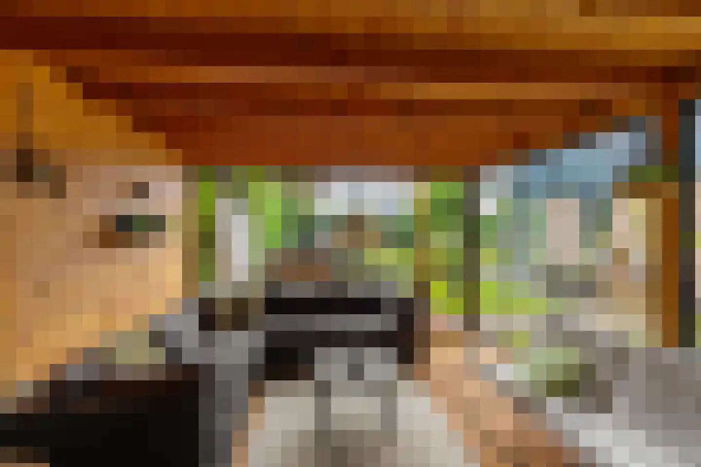 Groenkampen 9 Vries thumbnail 30