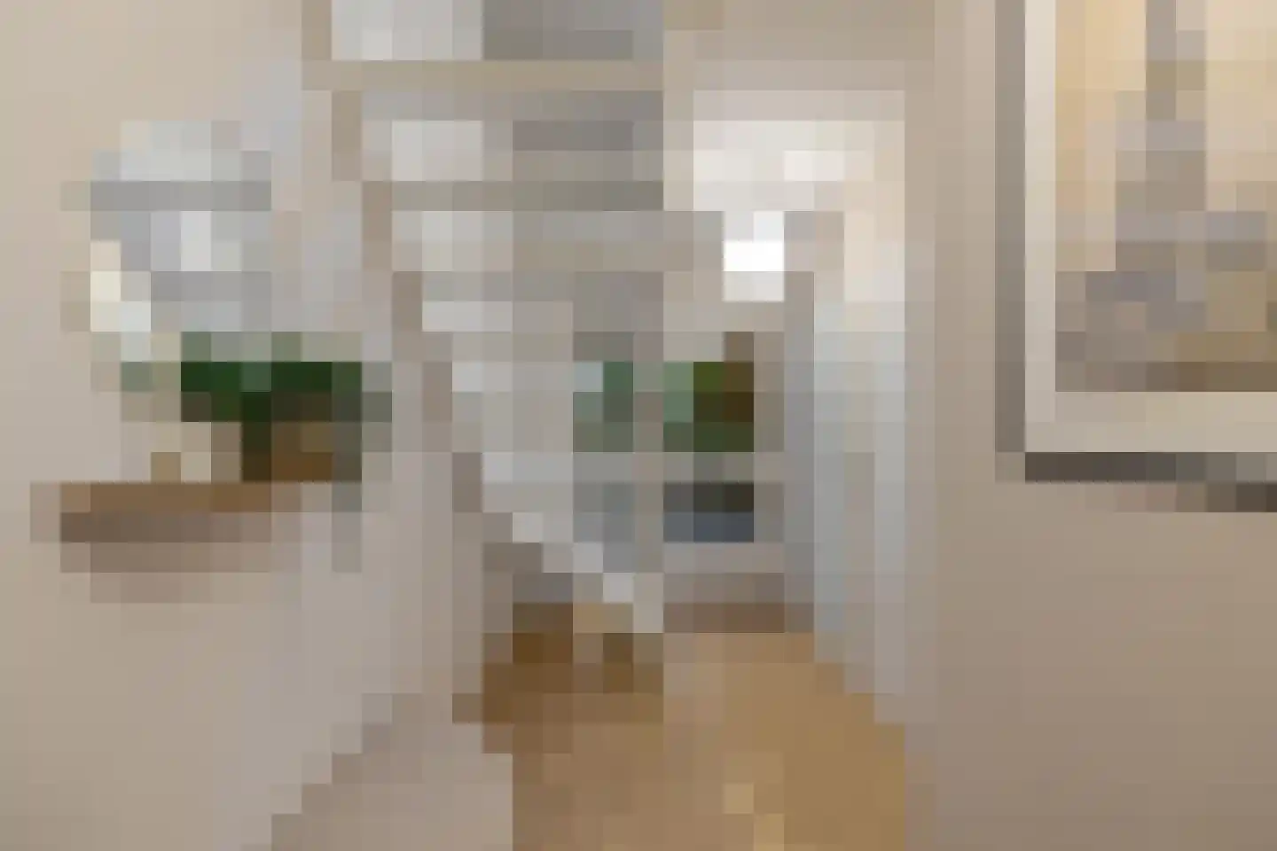 Groenkampen 9 Vries thumbnail 33