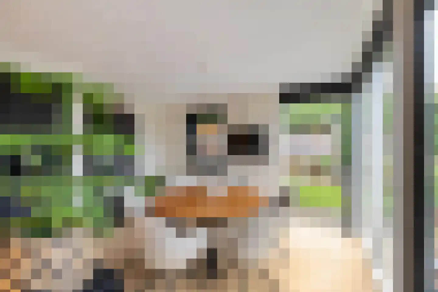Groenkampen 9 Vries thumbnail 49