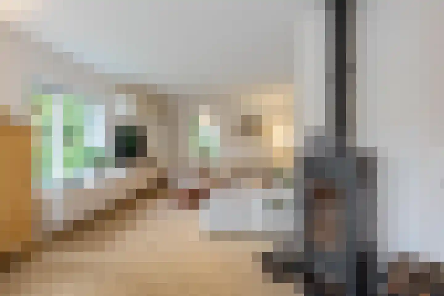 Groenkampen 9 Vries thumbnail 5