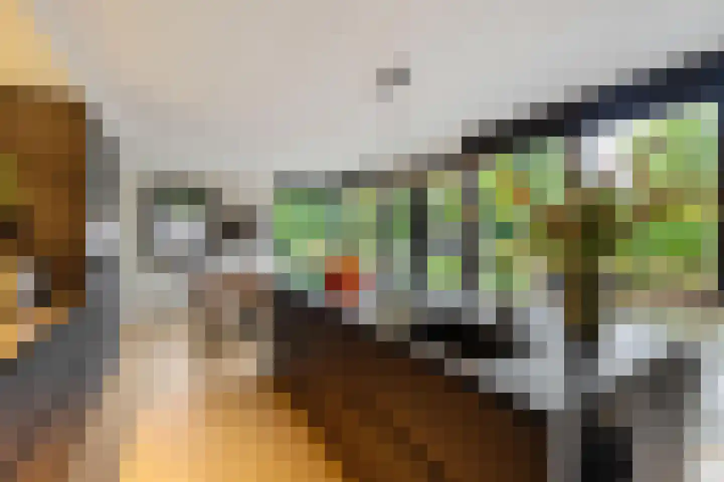 Groenkampen 9 Vries thumbnail 53