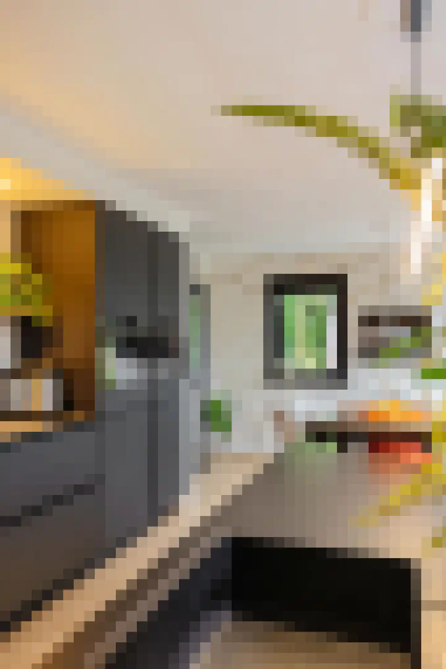 Groenkampen 9 Vries thumbnail 54