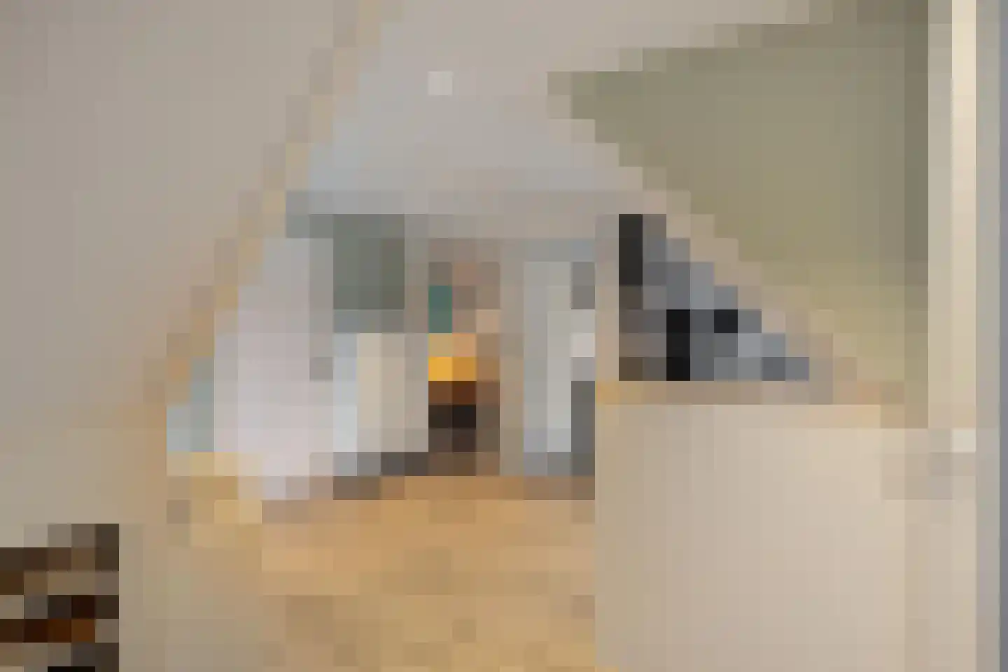 Groenkampen 9 Vries thumbnail 57