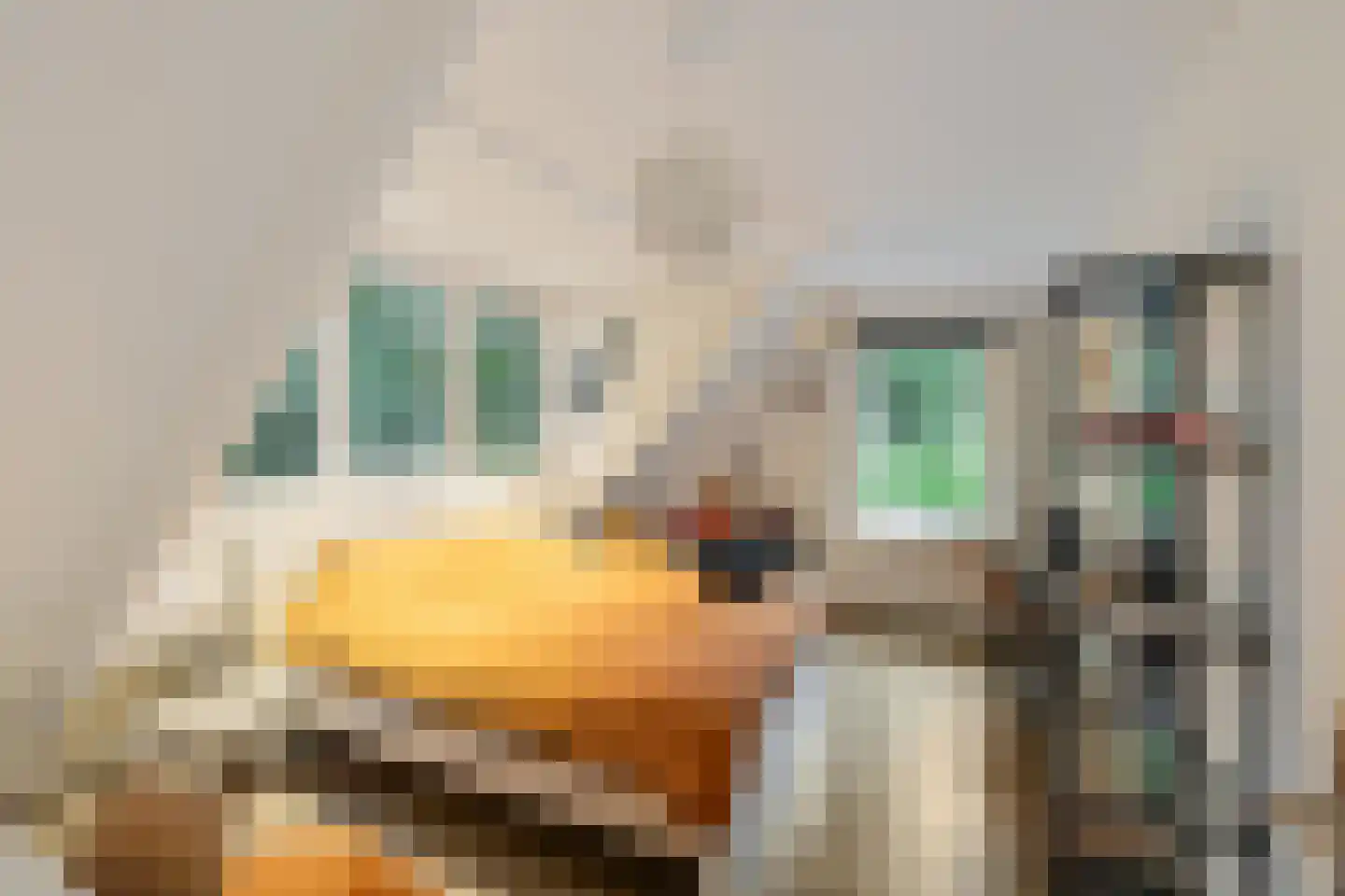 Groenkampen 9 Vries thumbnail 58
