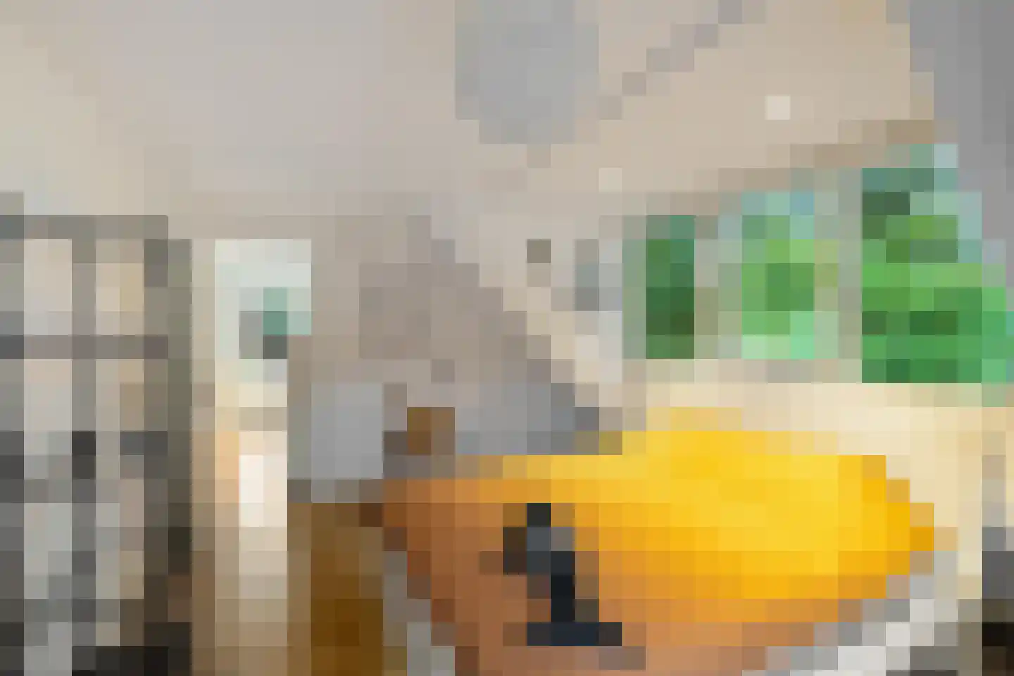 Groenkampen 9 Vries thumbnail 59