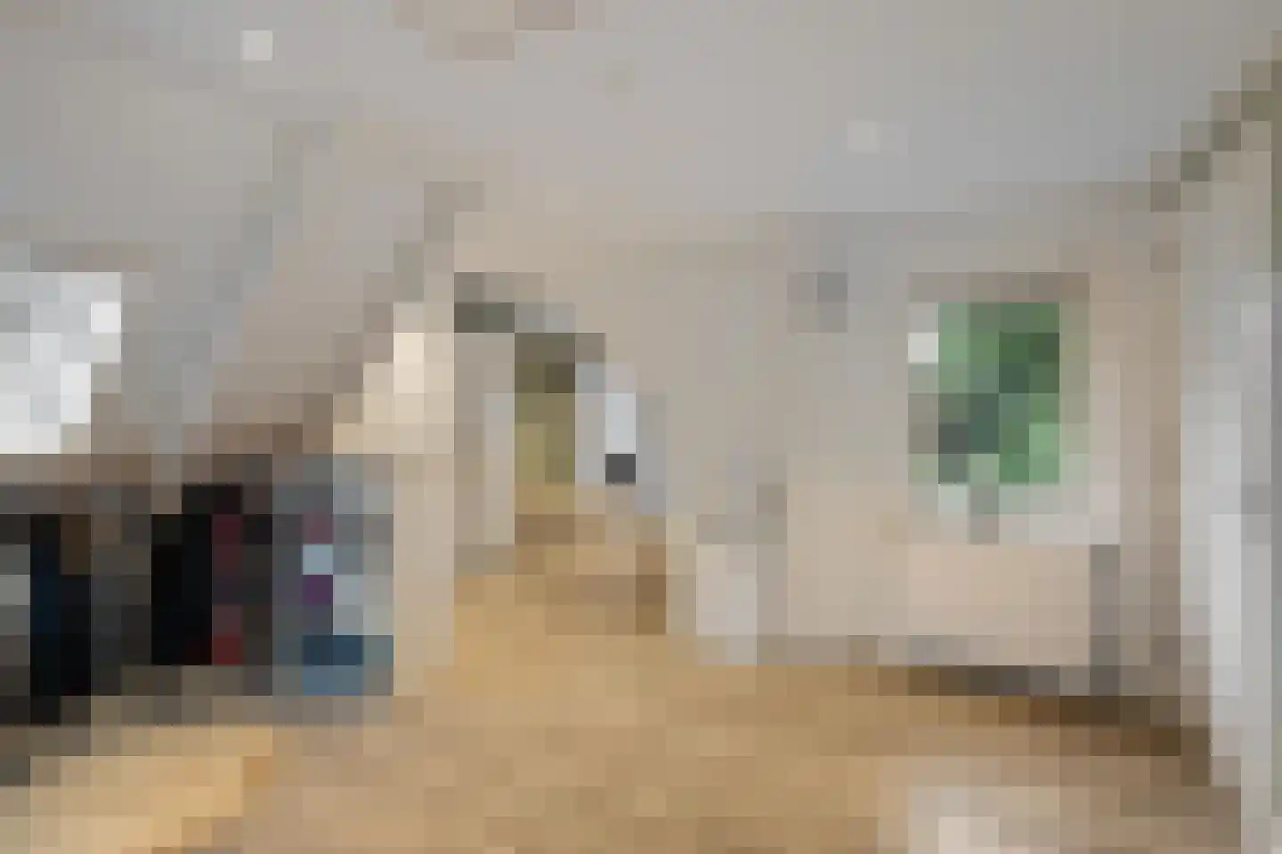 Groenkampen 9 Vries thumbnail 60
