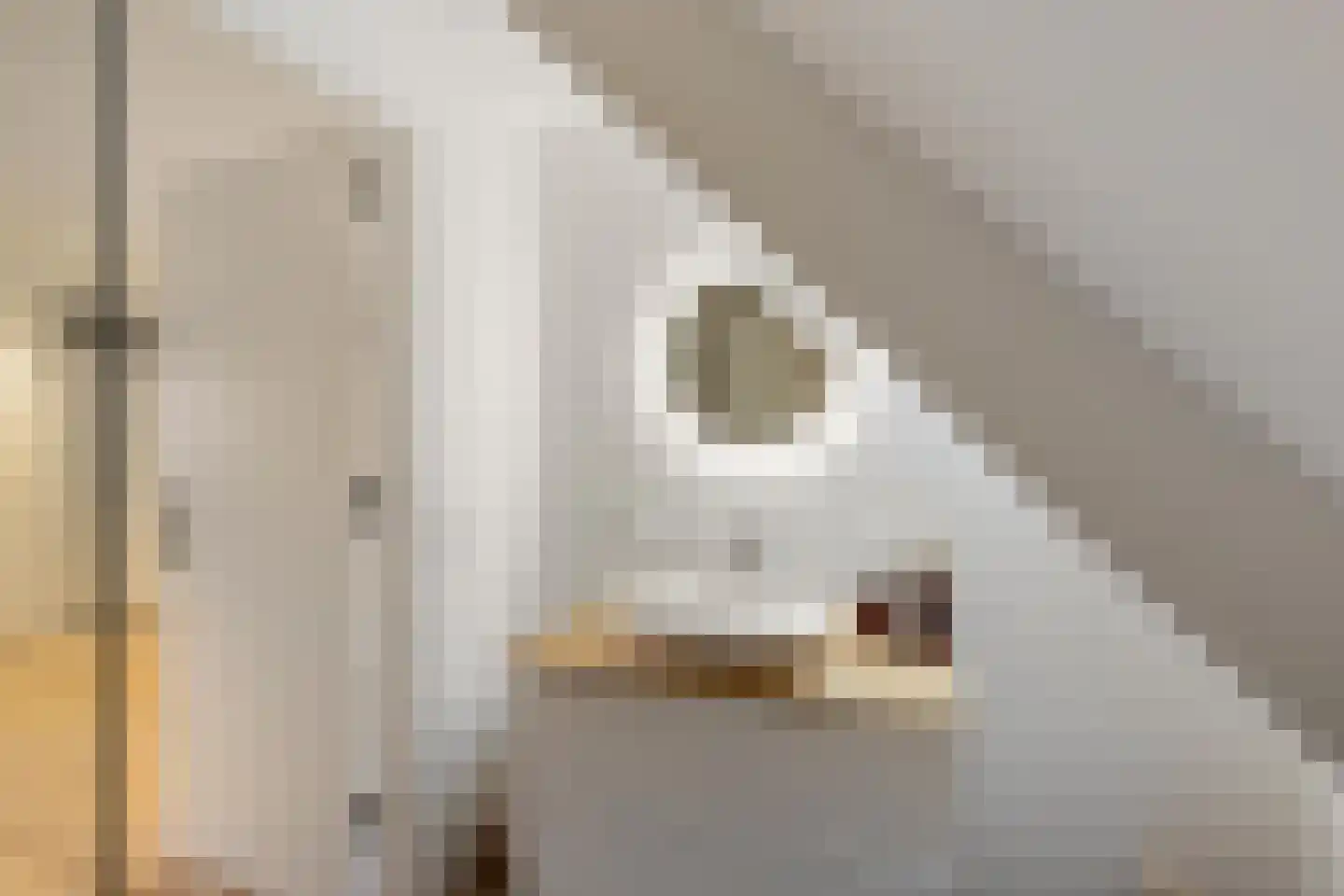 Groenkampen 9 Vries thumbnail 62
