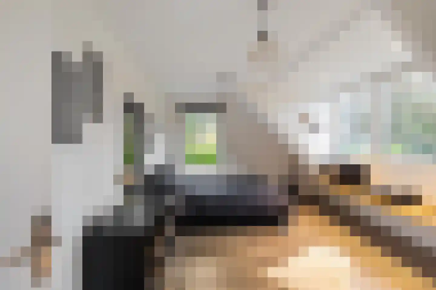 Groenkampen 9 Vries thumbnail 64