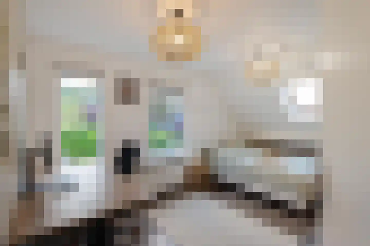 Groenkampen 9 Vries thumbnail 68