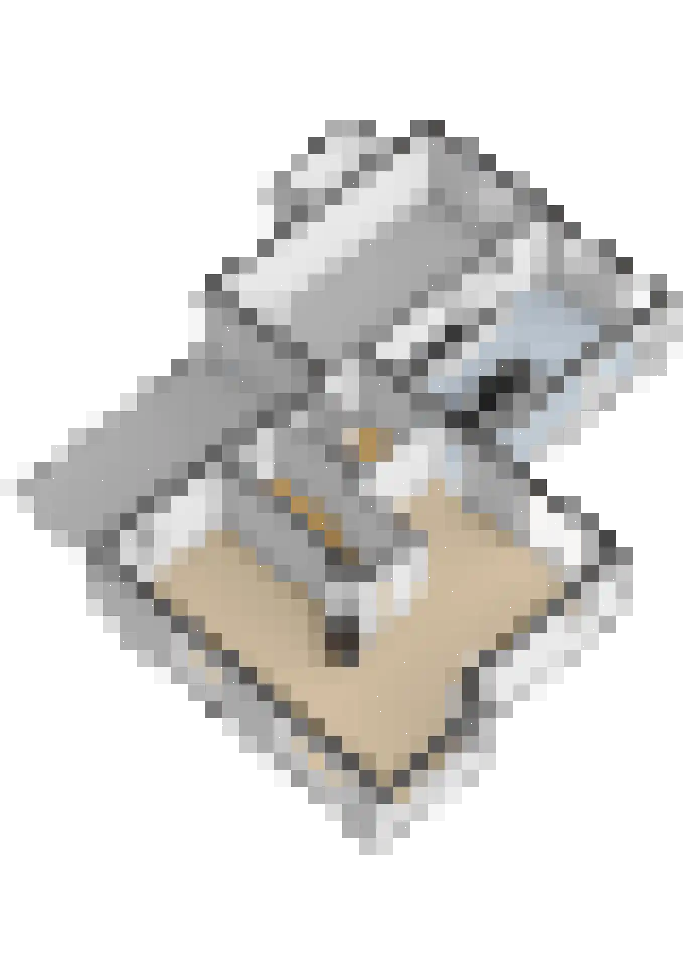 Groenkampen 9 Vries thumbnail 80