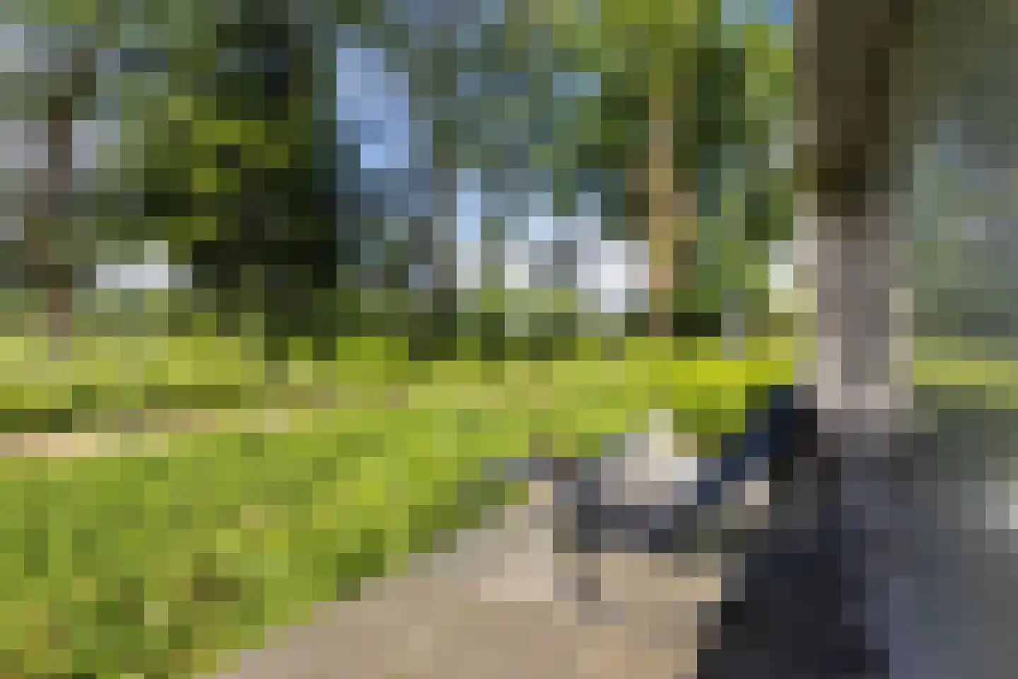 Groenkazerne 54 Ulvenhout thumbnail 16