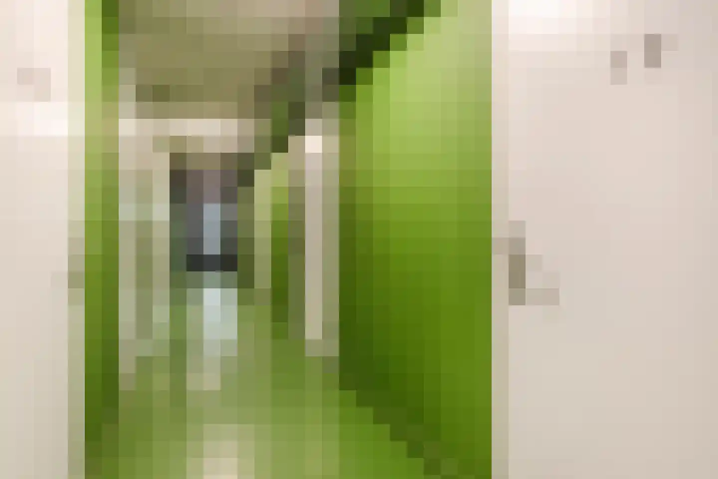 Groenkazerne 54 Ulvenhout thumbnail 30