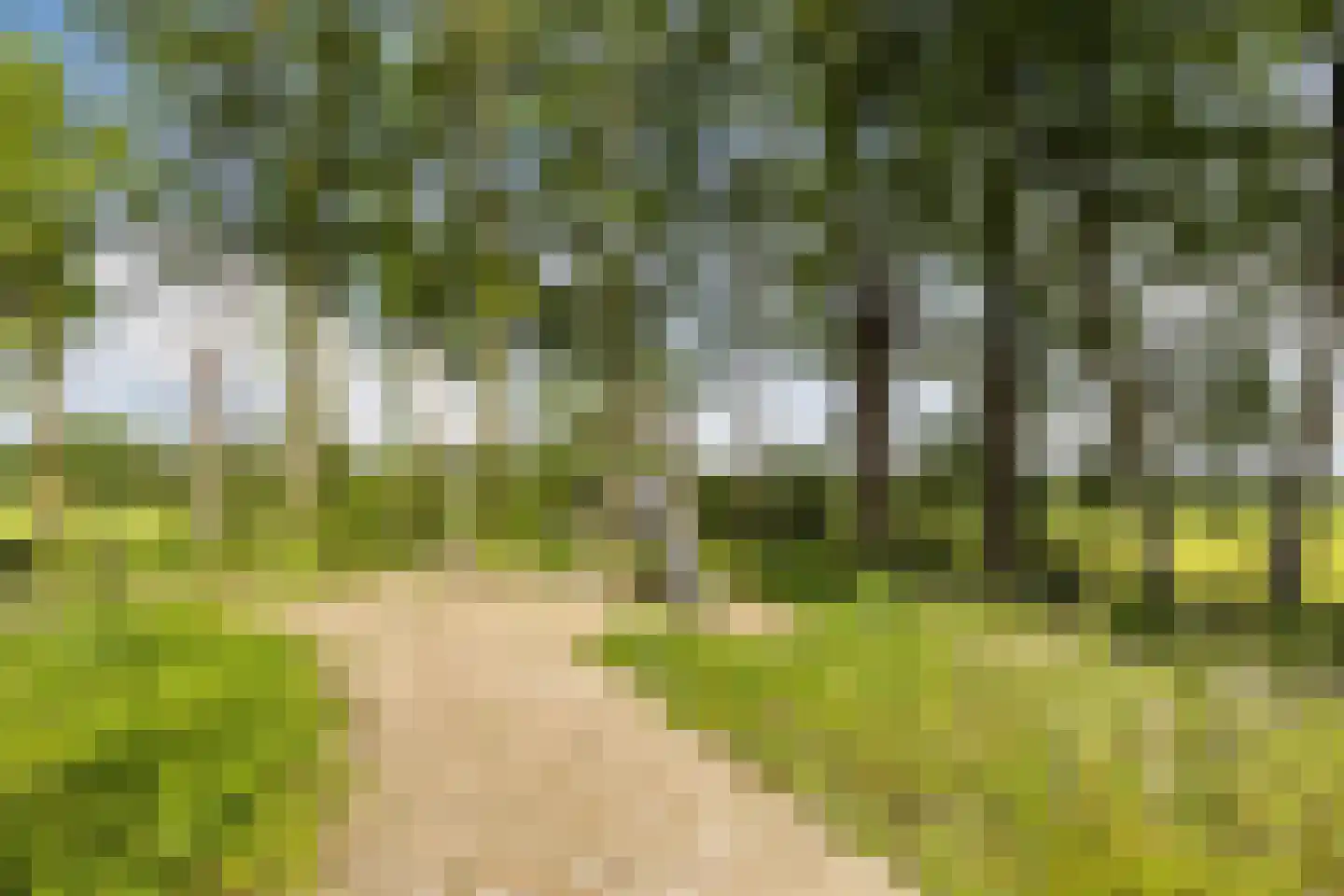 Groenkazerne 54 Ulvenhout thumbnail 41