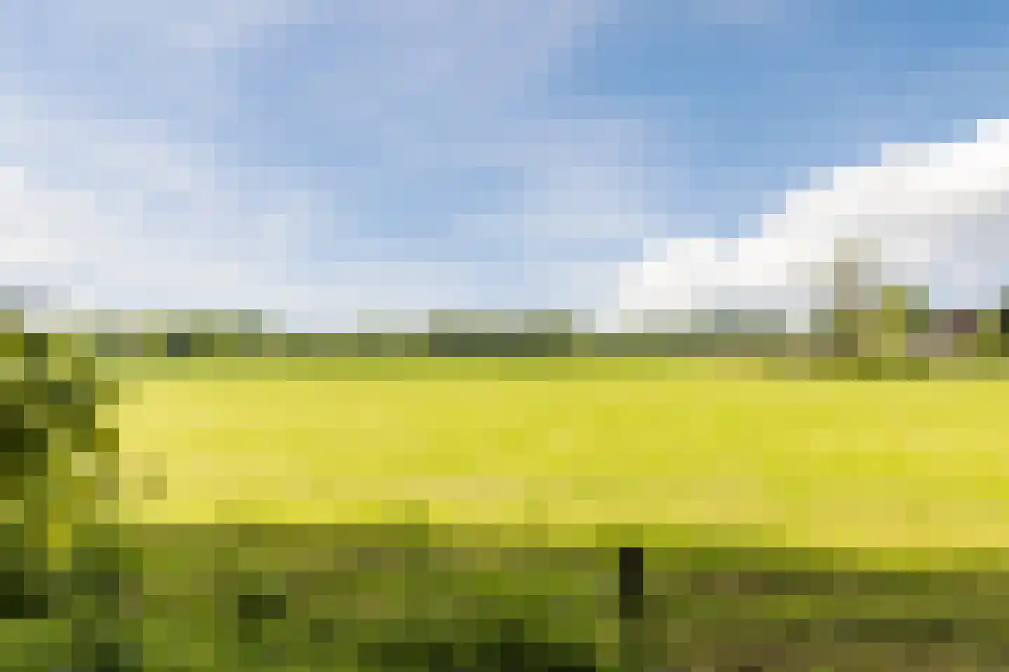 Groenkazerne 54 Ulvenhout thumbnail 42