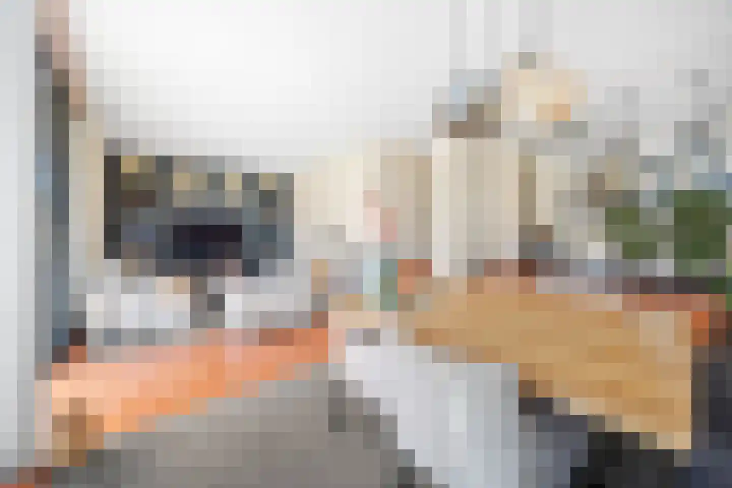 Groenland 1 Den Haag thumbnail 16