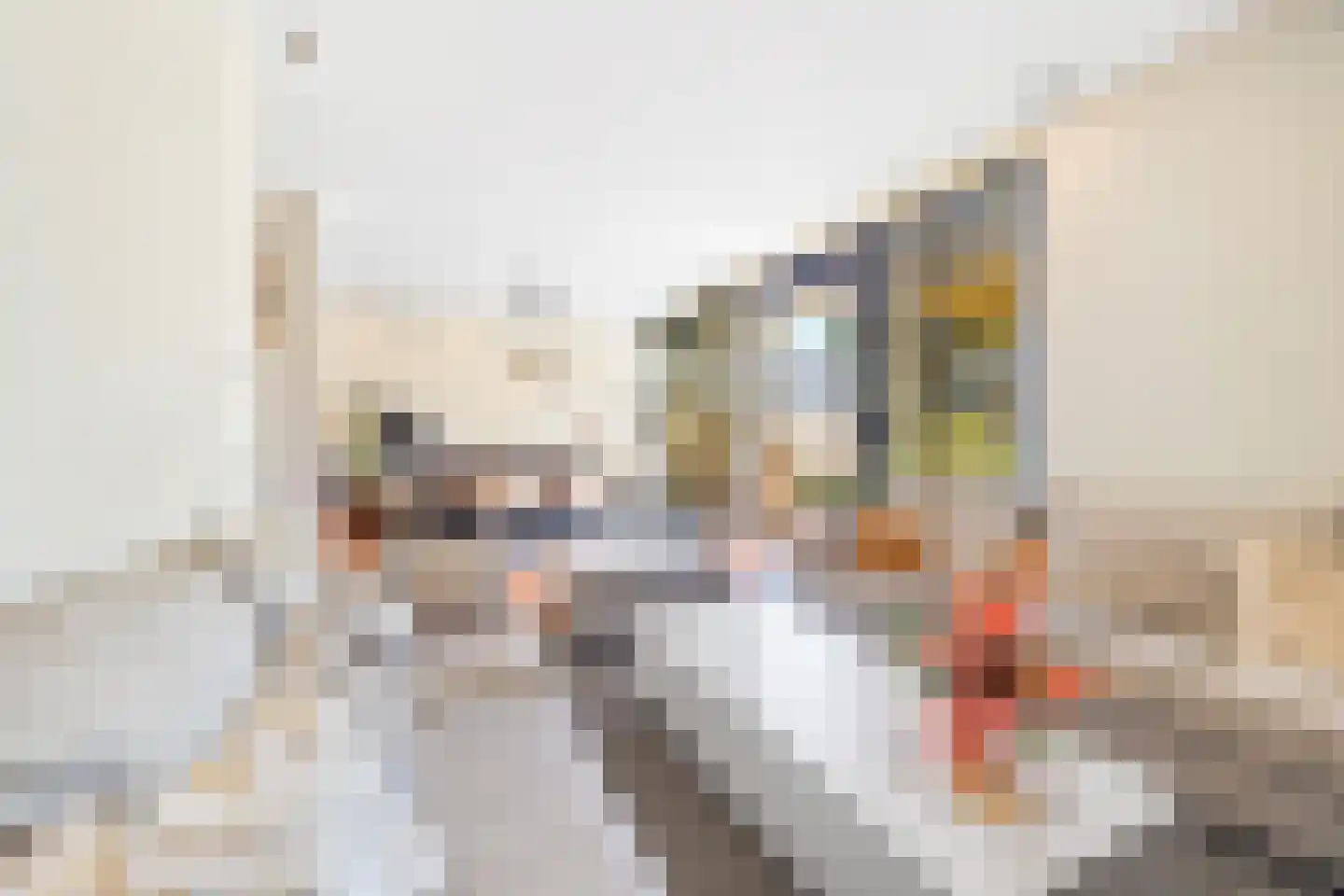 Groenland 1 Den Haag thumbnail 18