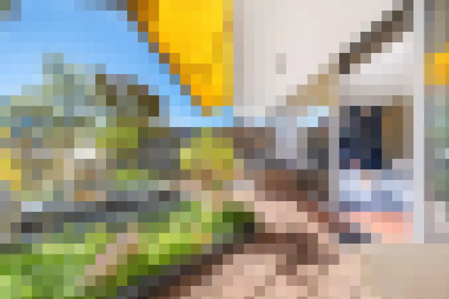 Groenland 1 Den Haag thumbnail 20