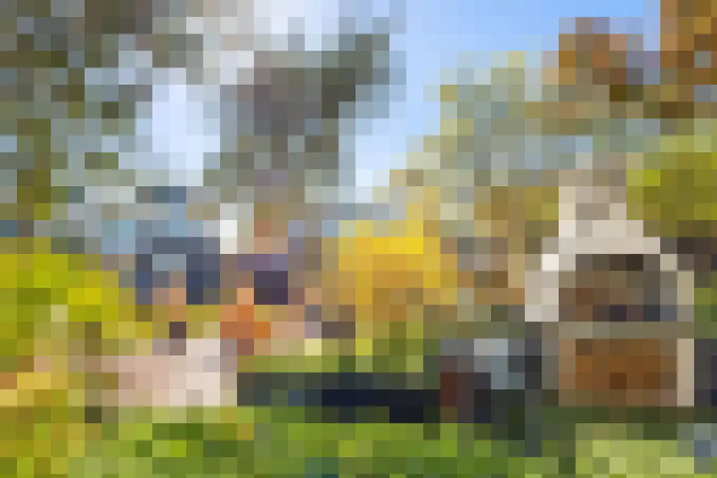 Groenland 1 Den Haag thumbnail 25