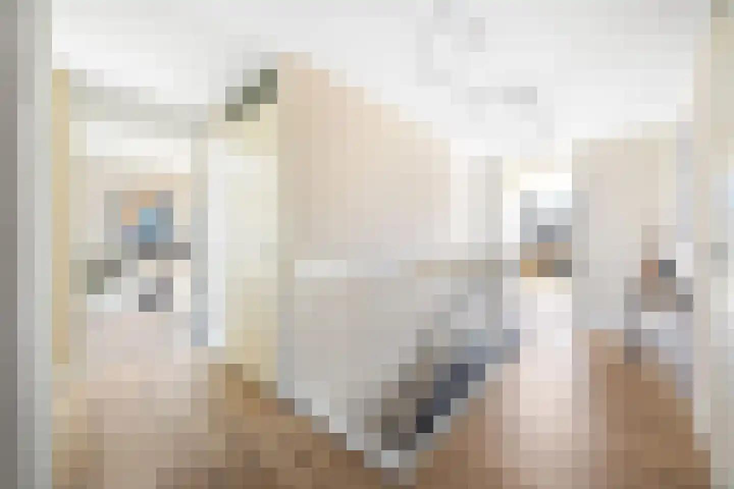 Groenland 1 Den Haag thumbnail 38