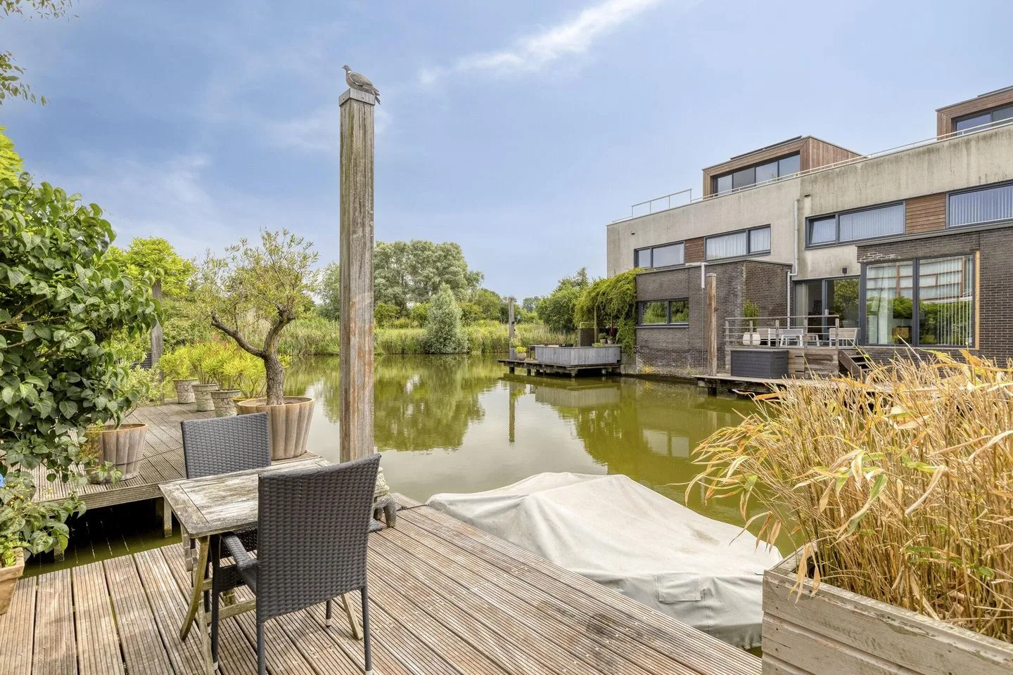 Groenland 10 Den Haag thumbnail 4