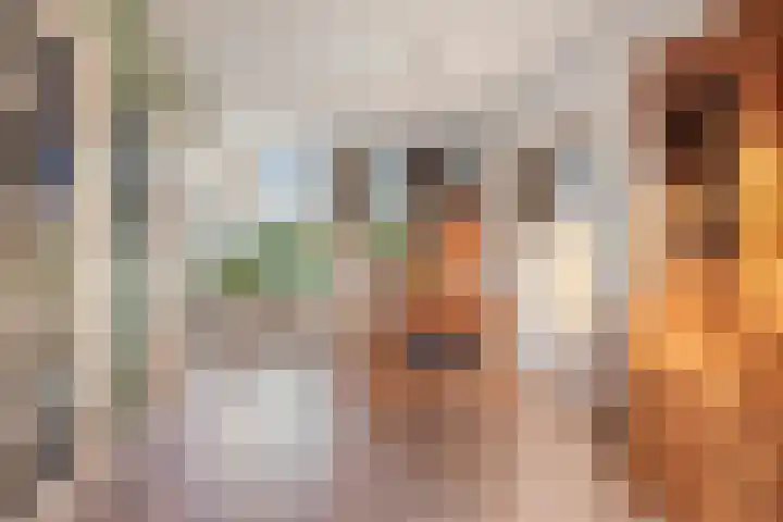 Groenland 116 Krimpen aan de Lek thumbnail 11