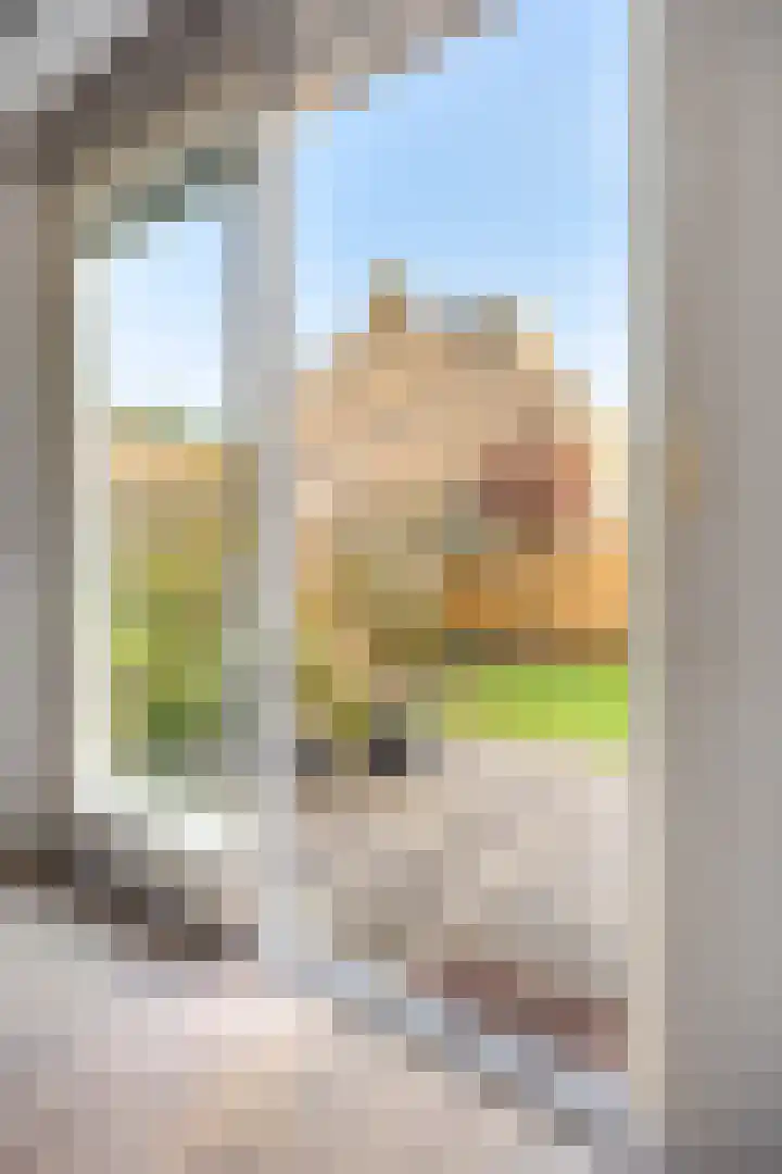 Groenland 116 Krimpen aan de Lek thumbnail 13