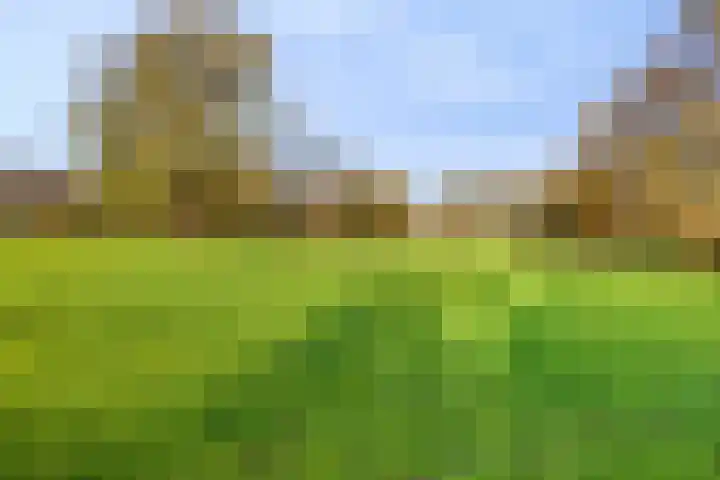 Groenland 116 Krimpen aan de Lek thumbnail 38