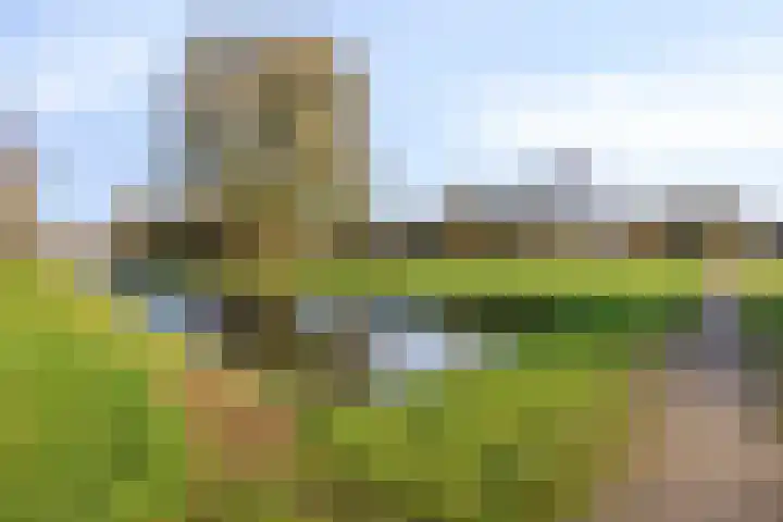 Groenland 116 Krimpen aan de Lek thumbnail 39