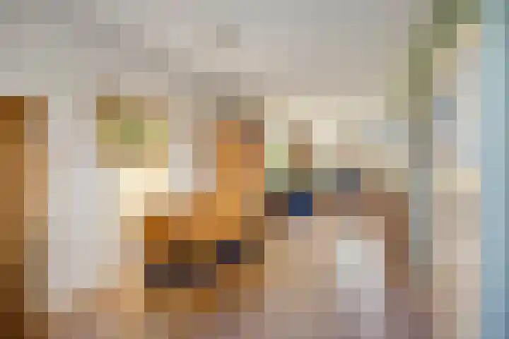 Groenland 116 Krimpen aan de Lek thumbnail 9