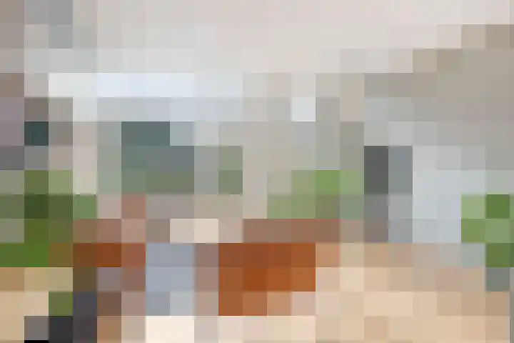 Groenland 15 Krimpen aan de Lek thumbnail 10
