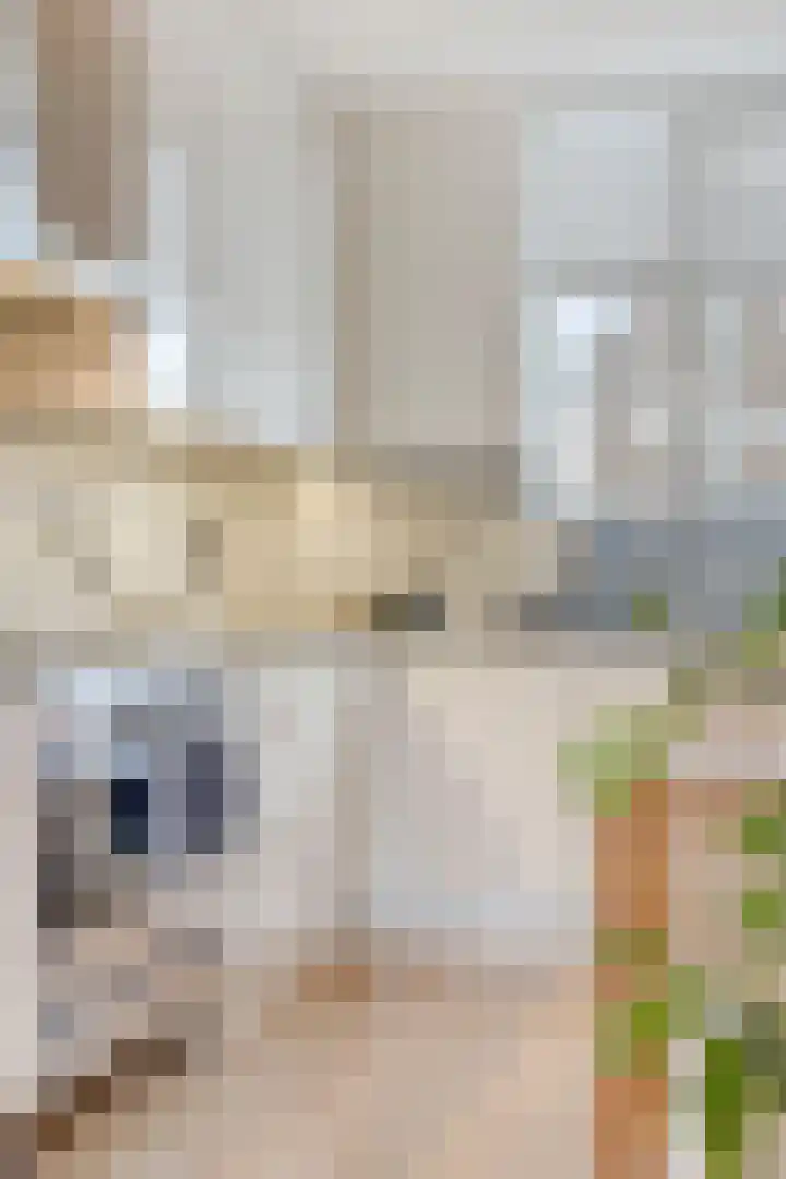 Groenland 15 Krimpen aan de Lek thumbnail 13