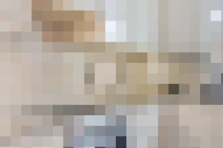 Groenland 15 Krimpen aan de Lek thumbnail 15