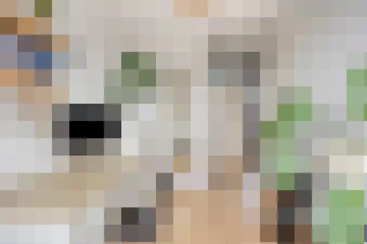 Groenland 15 Krimpen aan de Lek thumbnail 27