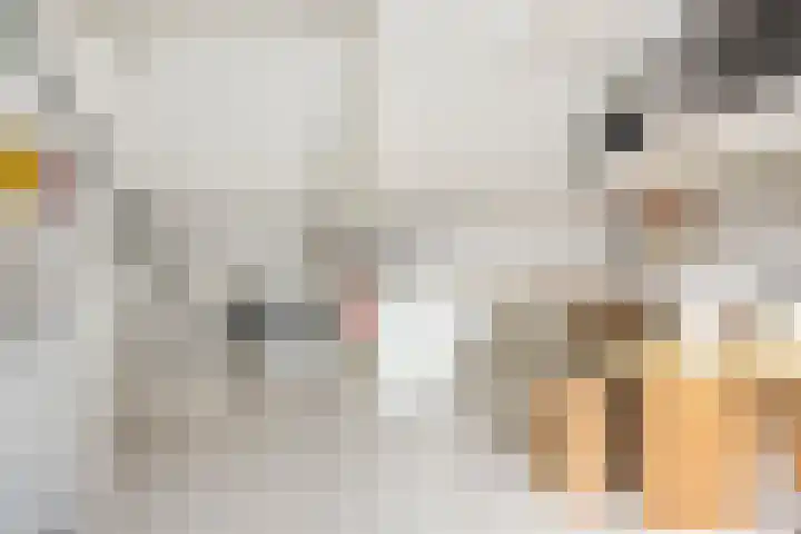 Groenland 15 Krimpen aan de Lek thumbnail 30