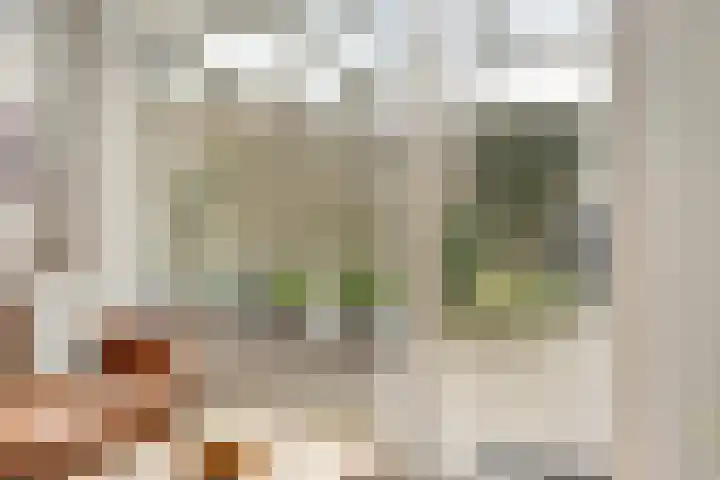 Groenland 15 Krimpen aan de Lek thumbnail 33