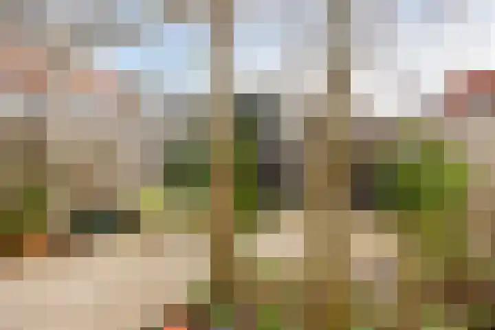 Groenland 15 Krimpen aan de Lek thumbnail 36