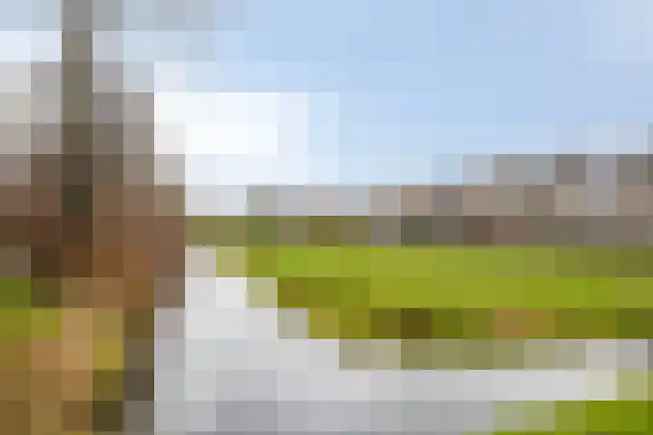 Groenland 15 Krimpen aan de Lek thumbnail 40