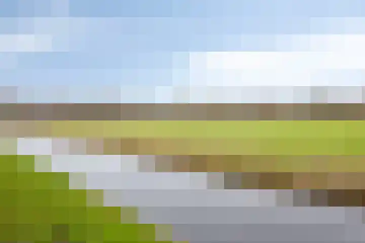 Groenland 15 Krimpen aan de Lek thumbnail 41
