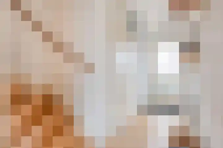 Groenland 15 Krimpen aan de Lek thumbnail 6
