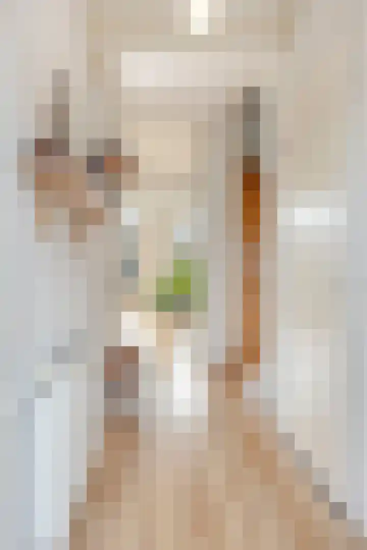 Groenland 15 Krimpen aan de Lek thumbnail 7