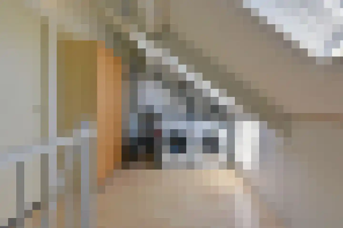 Groenland 2 Vinkeveen thumbnail 24