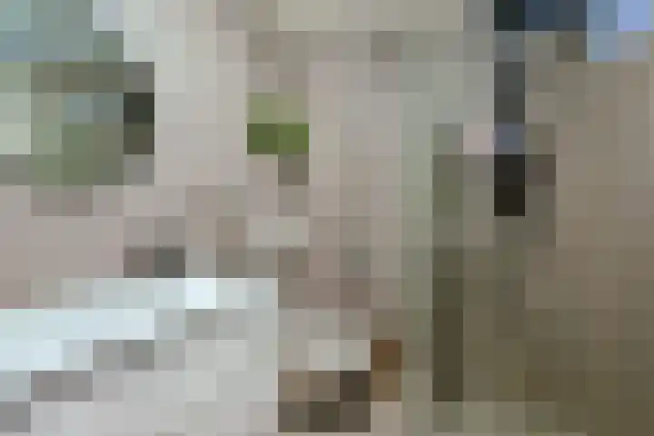 Groenland 21 Vinkeveen thumbnail 17