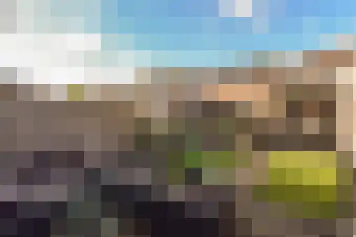 Groenland 21 Vinkeveen thumbnail 26