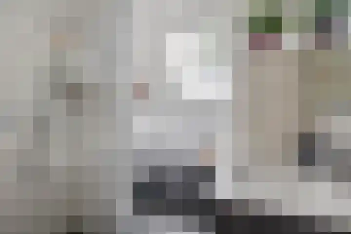Groenland 3 Krimpen aan de Lek thumbnail 25