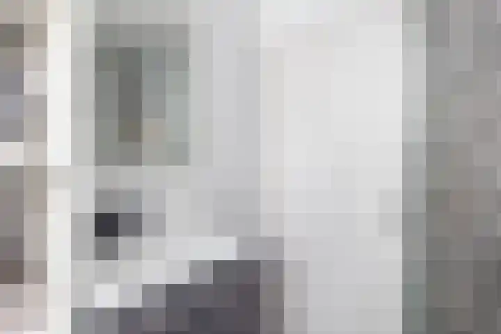 Groenland 3 Krimpen aan de Lek thumbnail 27