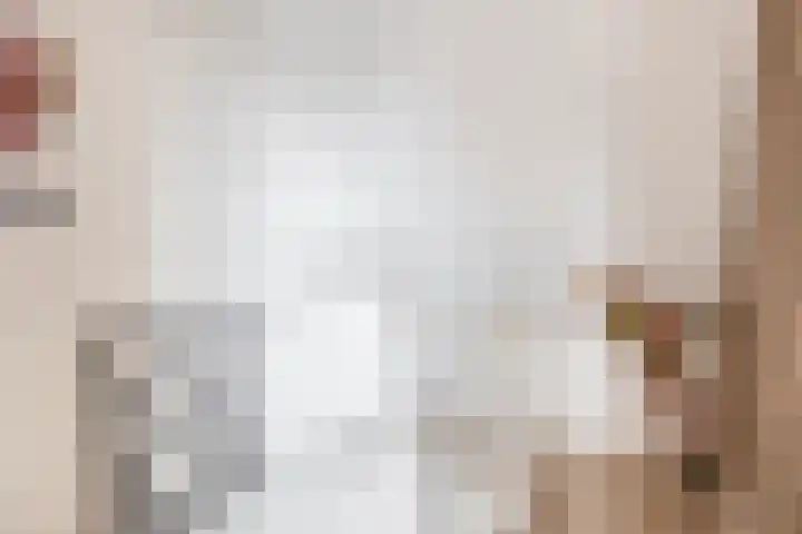 Groenland 3 Krimpen aan de Lek thumbnail 28