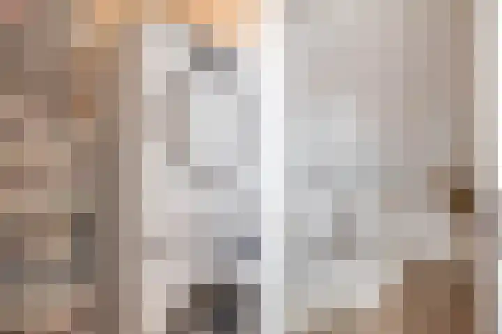 Groenland 3 Krimpen aan de Lek thumbnail 29