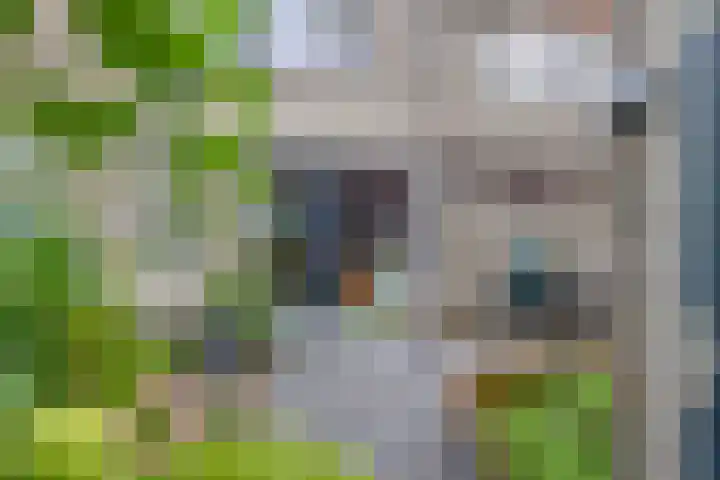 Groenland 3 Krimpen aan de Lek thumbnail 35