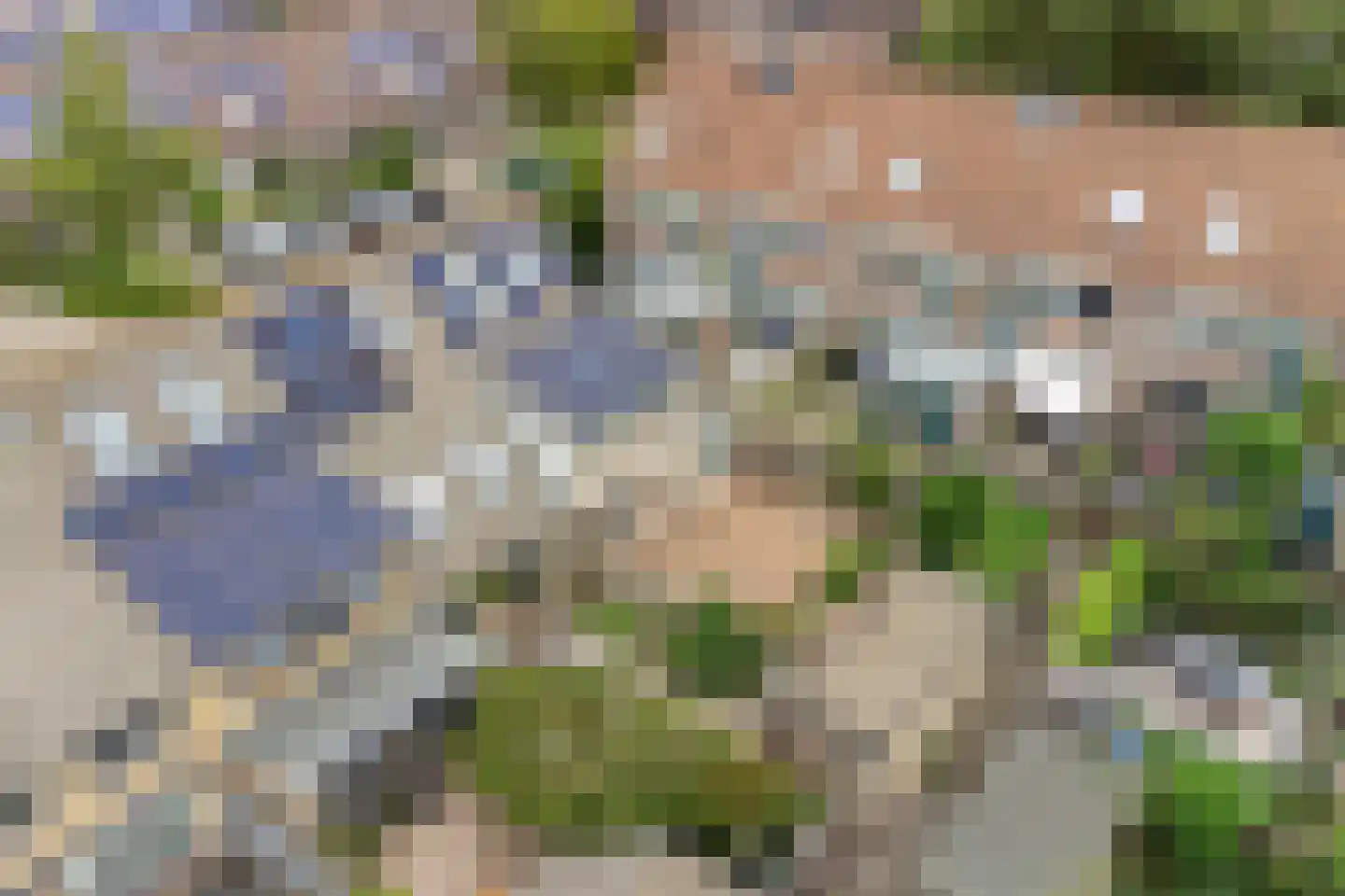 Groenland 30 Vinkeveen thumbnail 41