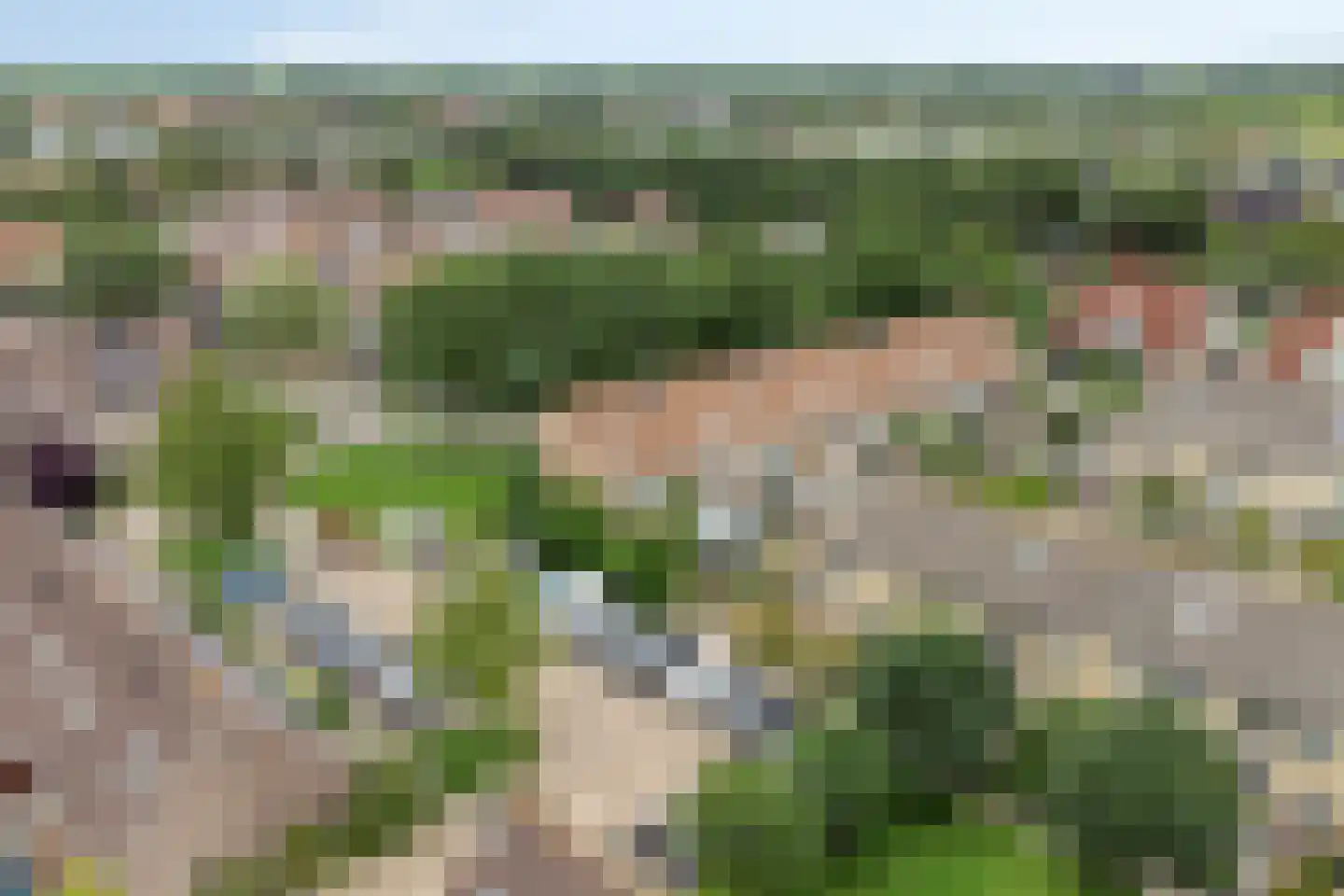 Groenland 30 Vinkeveen thumbnail 46